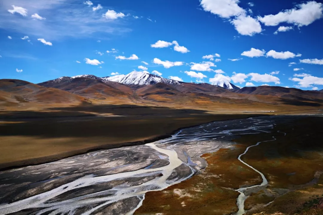 圖片46.png 圖片46.png