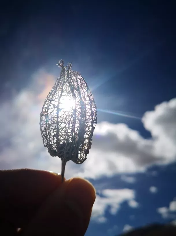 圖片47.png 圖片47.png