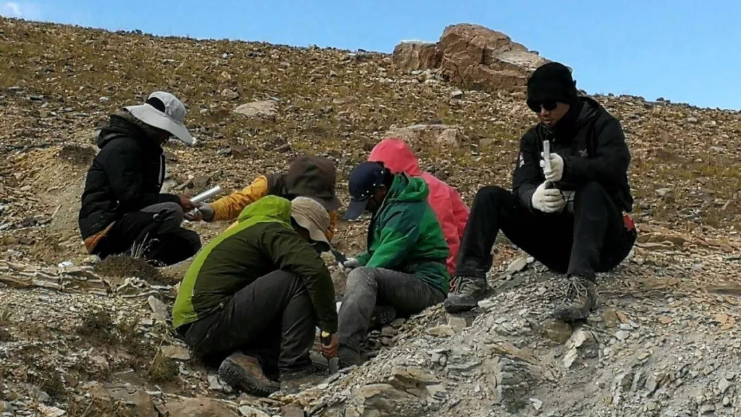 圖片53.png 圖片53.png