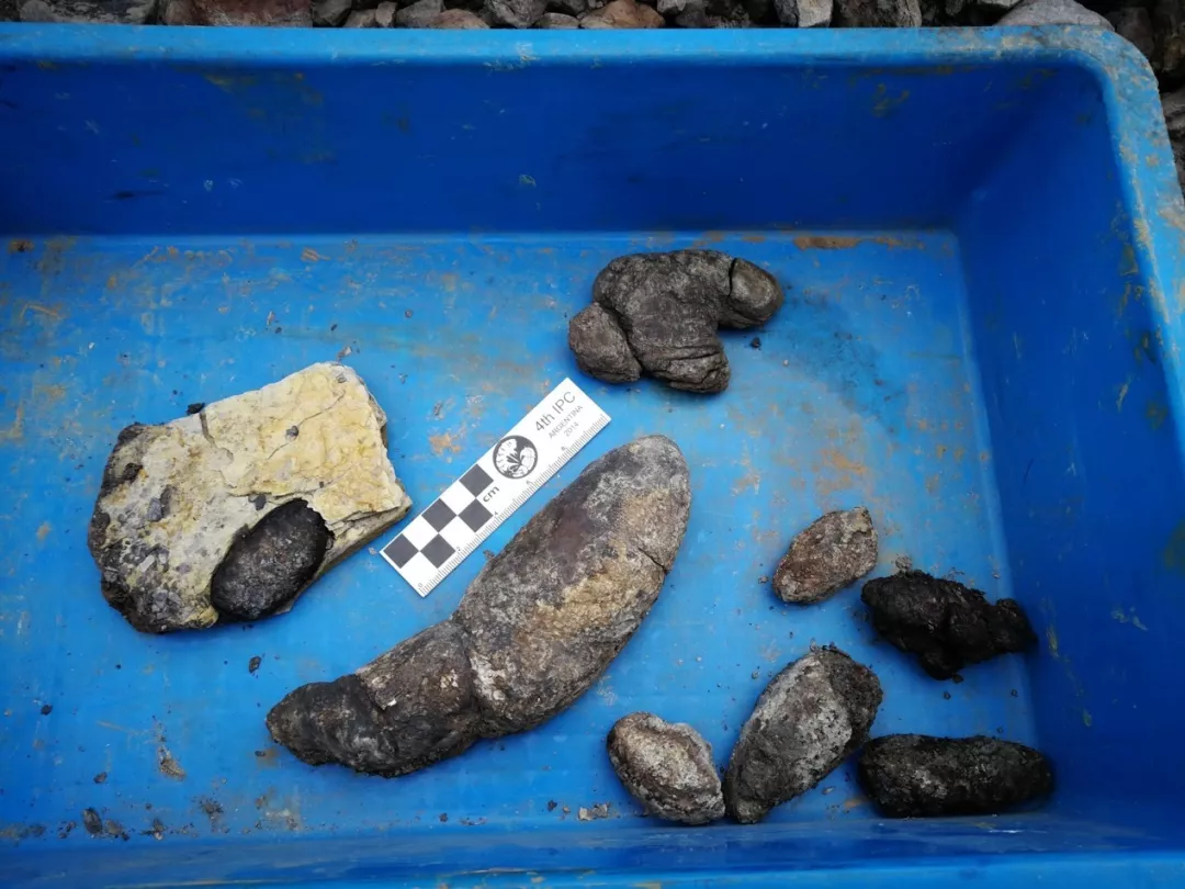 圖片65.png 圖片65.png