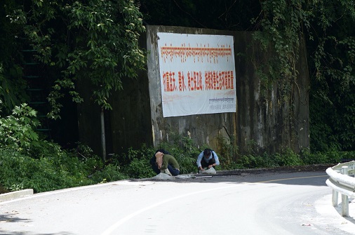 掃網(wǎng)采集 掃網(wǎng)采集