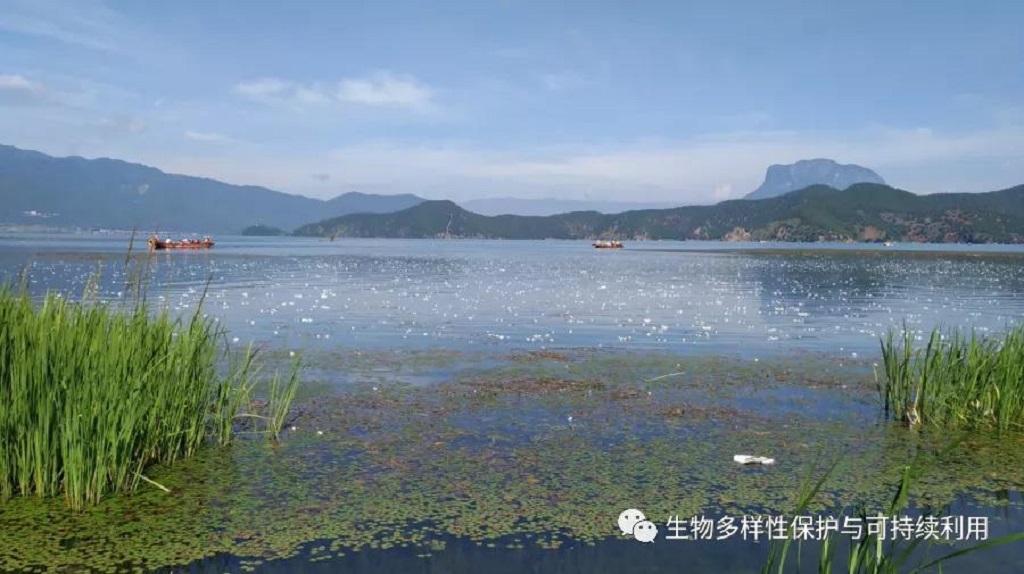 null 微信圖片_20200513151205.jpg