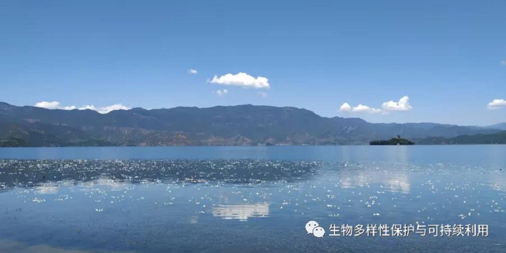 null 微信圖片_20200513151218.jpg