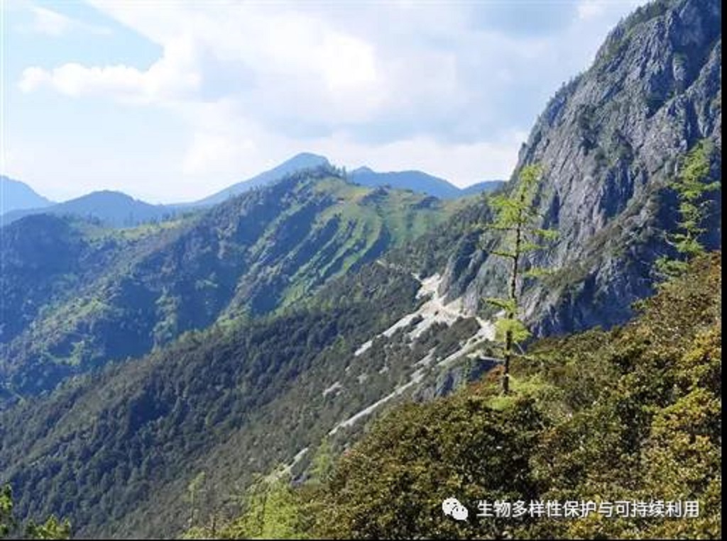 null 微信圖片_20200513151226.jpg