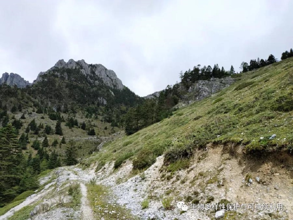 null 微信圖片_20200513151230.jpg