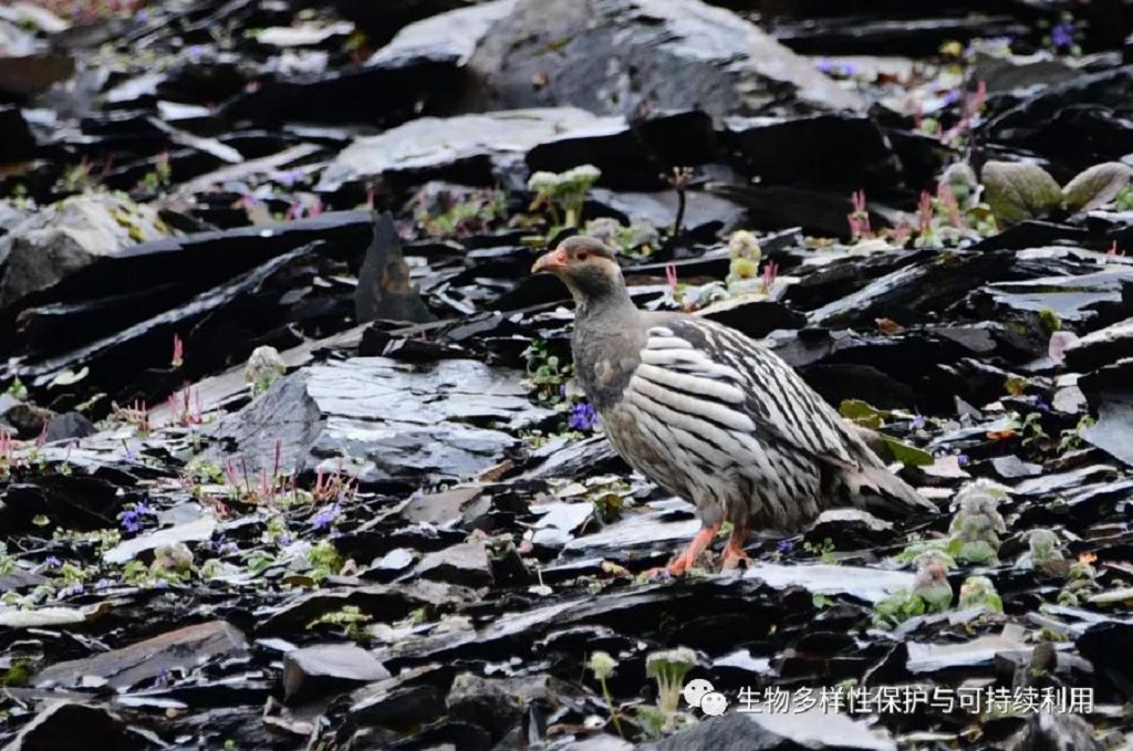 null 微信圖片_20200513151238.jpg