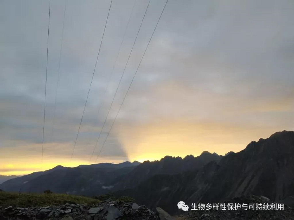 null 微信圖片_20200513151241.jpg