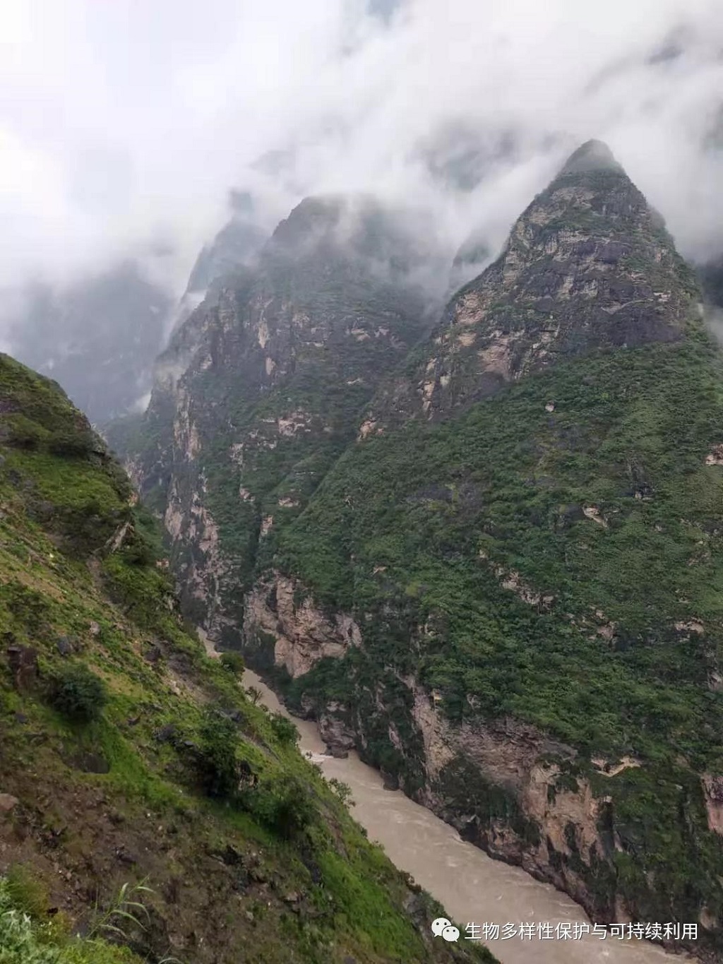 null 微信圖片_20200513151251.jpg