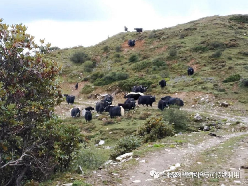 null 微信圖片_20200513151301.jpg