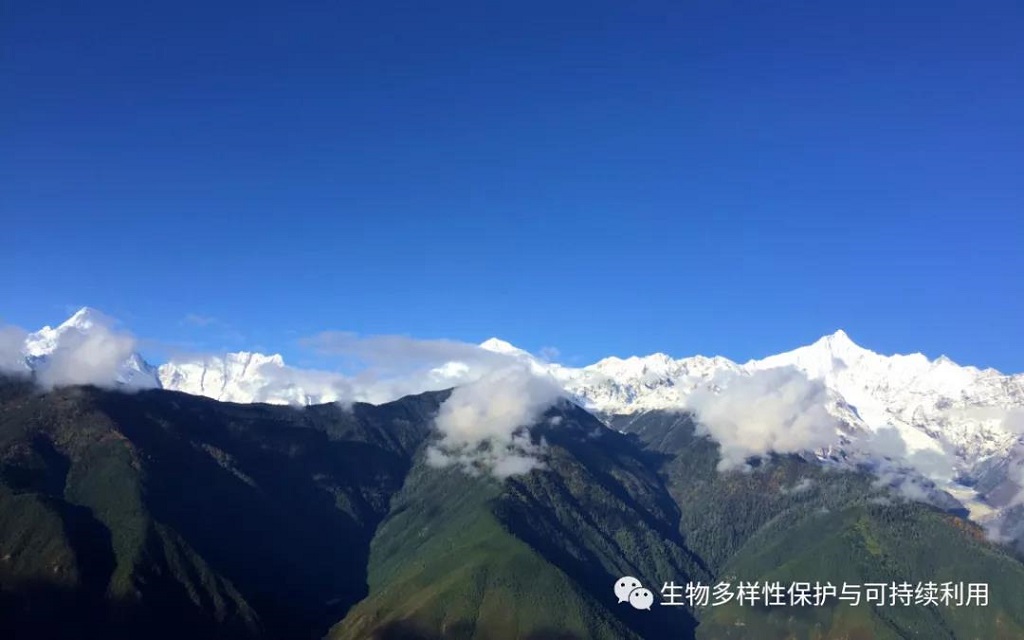 null 微信圖片_20200515150348.jpg