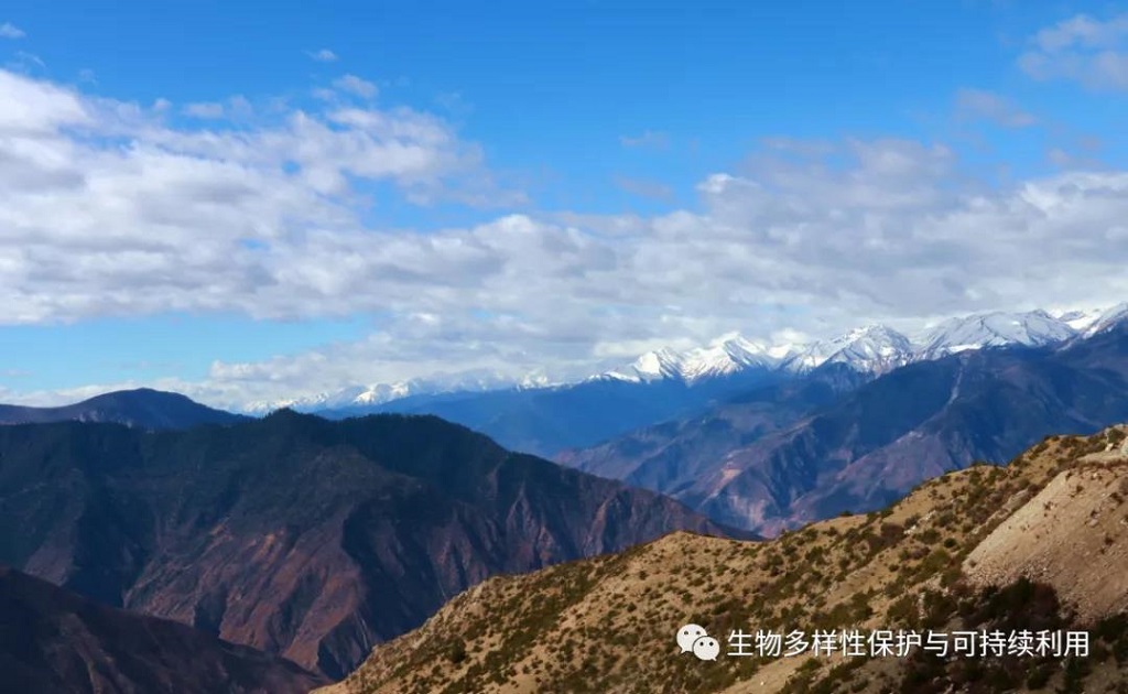 null 微信圖片_20200515150358.jpg