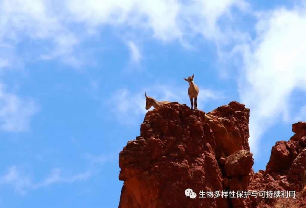 null 微信圖片_20200515150417.jpg