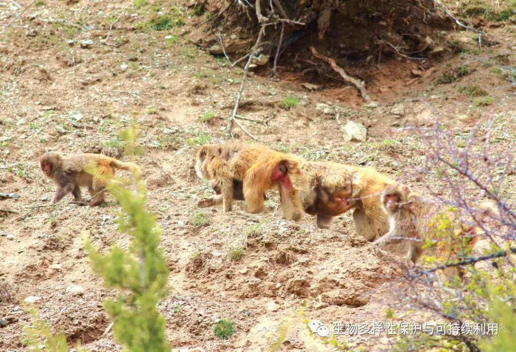 null 微信圖片_20200515150421.jpg