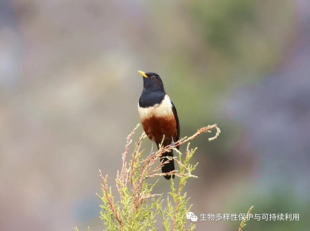 null 微信圖片_20200515150427.jpg