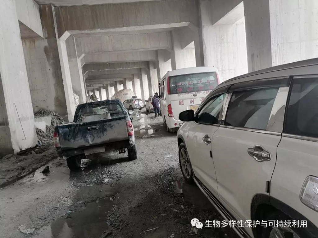 null 微信圖片_20200515150437.jpg