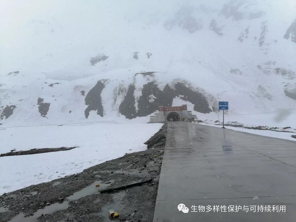 null 微信圖片_20200515150439.jpg