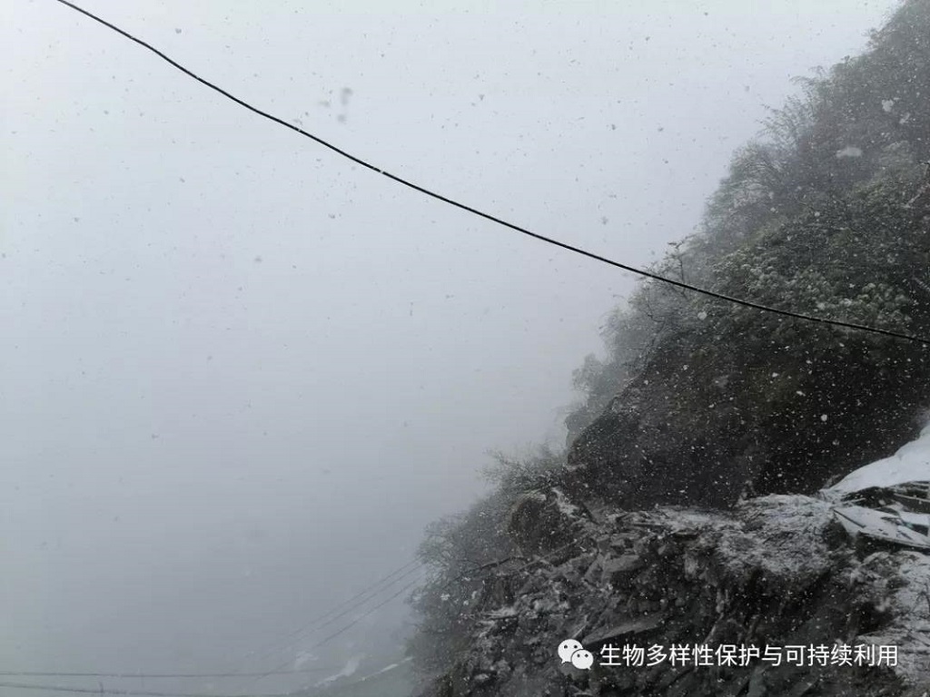 null 微信圖片_20200515150442.jpg