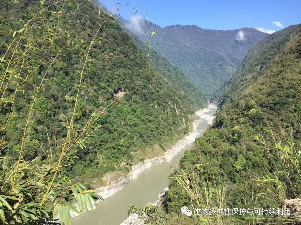 null 微信圖片_20200515150450.jpg