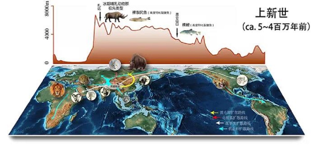 null 微信圖片_20200622092635.jpg