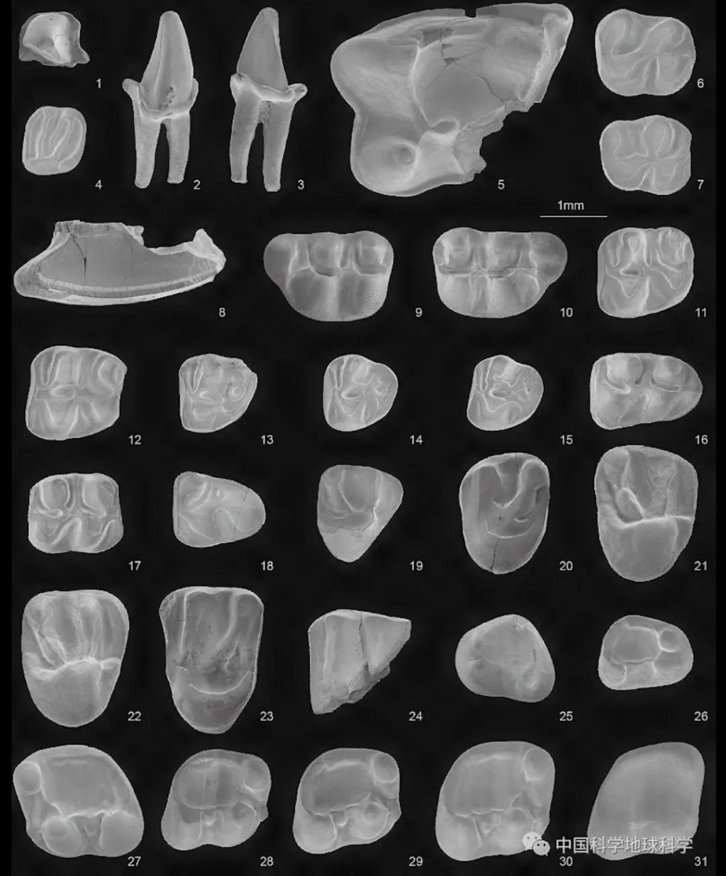 null 微信圖片_20200622093323.jpg