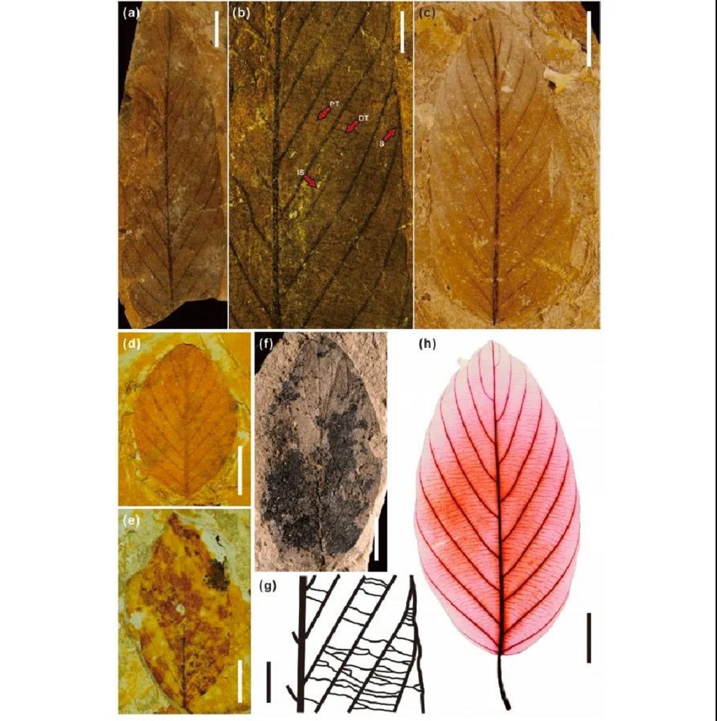 null 微信圖片_20200622093924.jpg