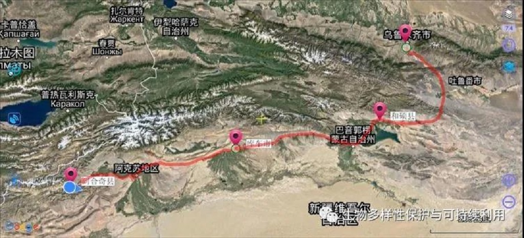 null 微信圖片_20200622102345.jpg