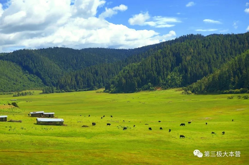 null 微信圖片_20200706092152.jpg