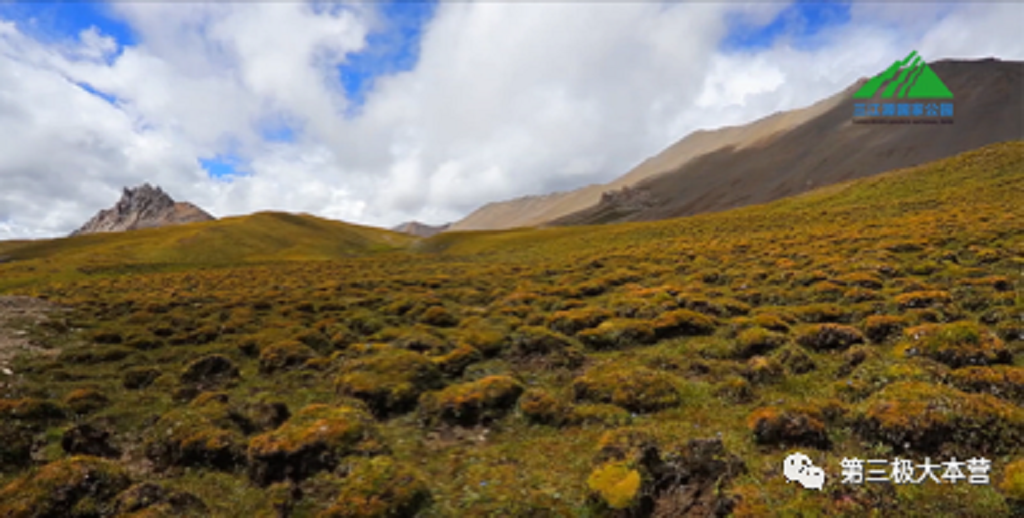 null 微信圖片_20200706092806.png