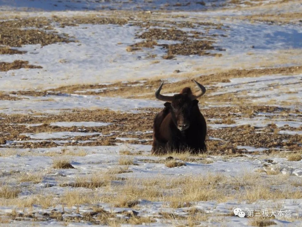 null 微信圖片_20200706093531.jpg