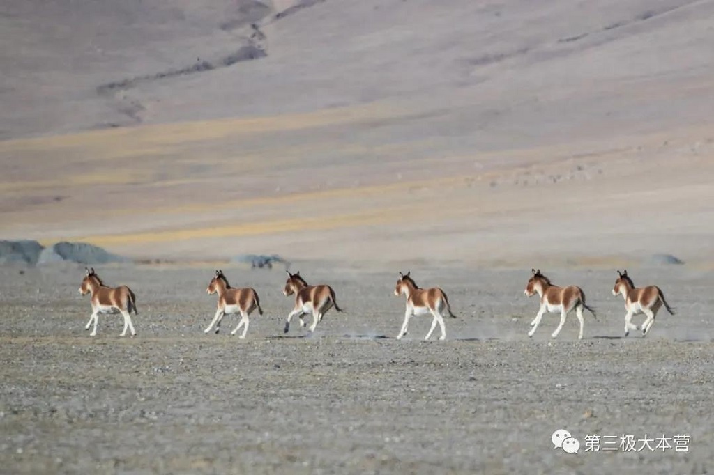 null 微信圖片_20200706094235.jpg