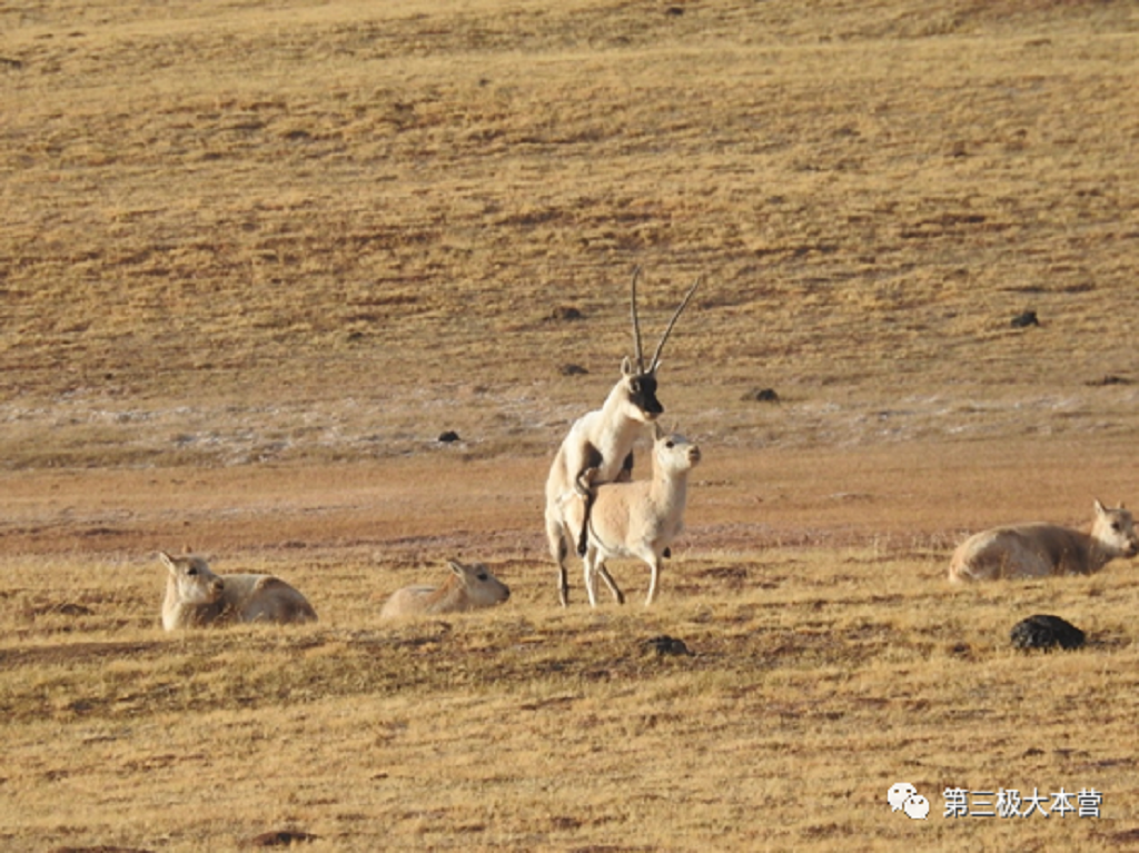 null 微信圖片_20200706094731.png