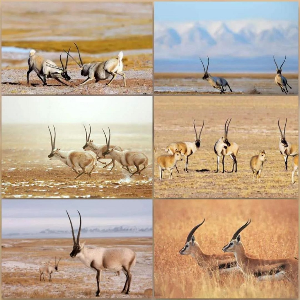 null 微信圖片_20200729171801.jpg