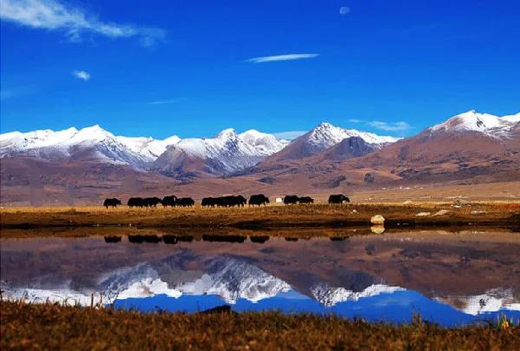 null 微信圖片_20200729171145.jpg