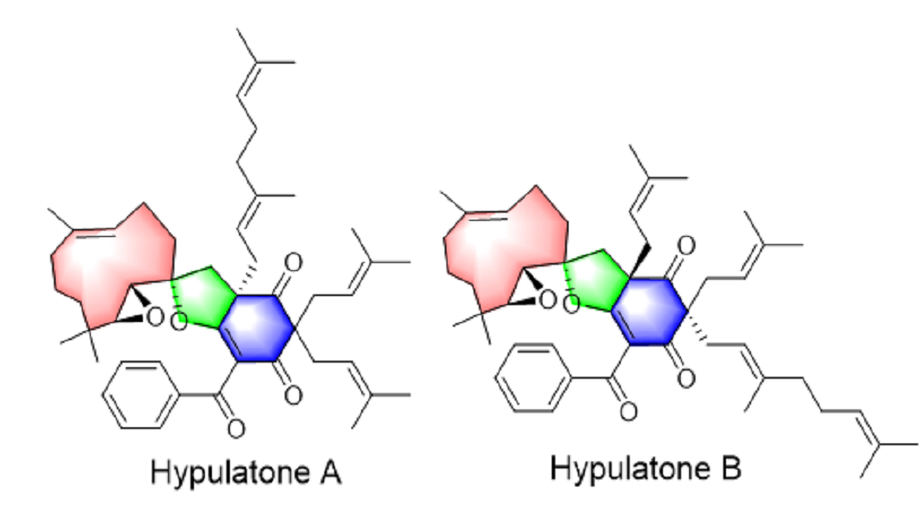null QQ截圖20200820181624.png