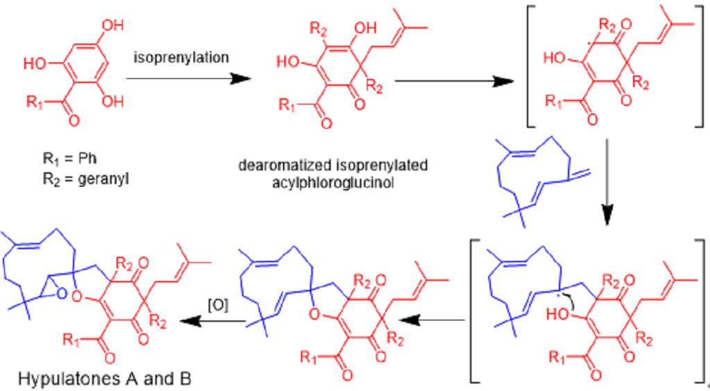 null QQ截圖20200820181647.png
