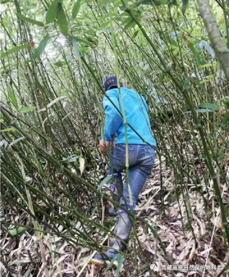 null QQ截圖20200828110459.png