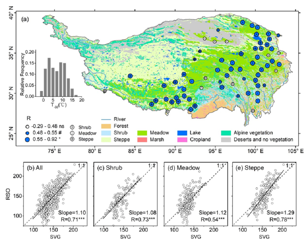 null W020201116338482578318.png