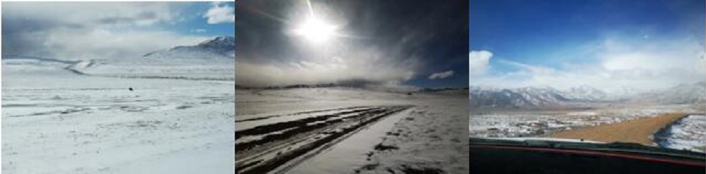 null QQ截圖20210104160717.jpg