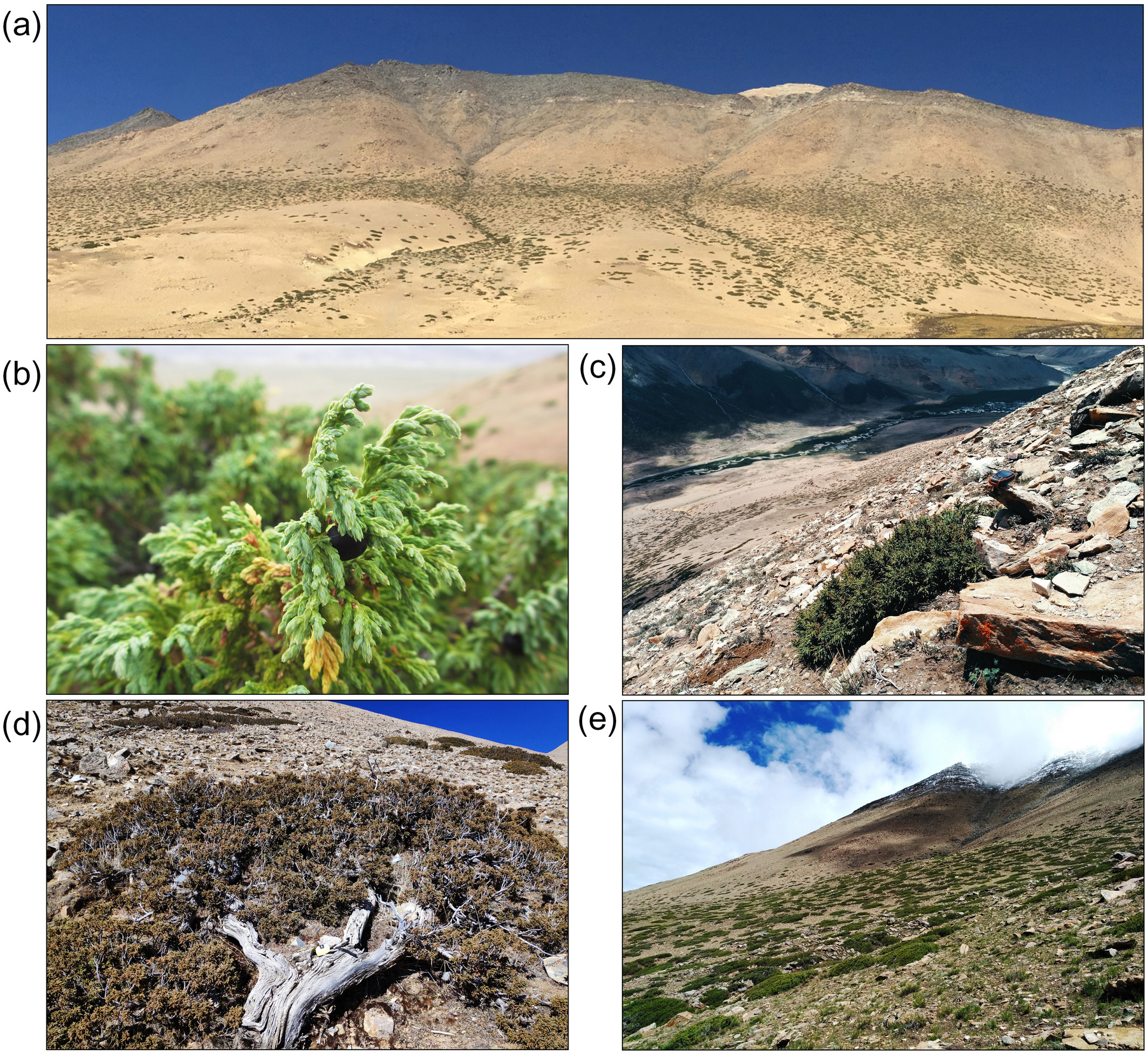 ecy3310-fig-0001-m.jpg ecy3310-fig-0001-m.jpg