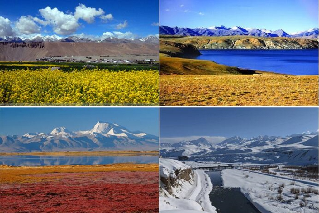 null QQ截圖20210701094256.jpg