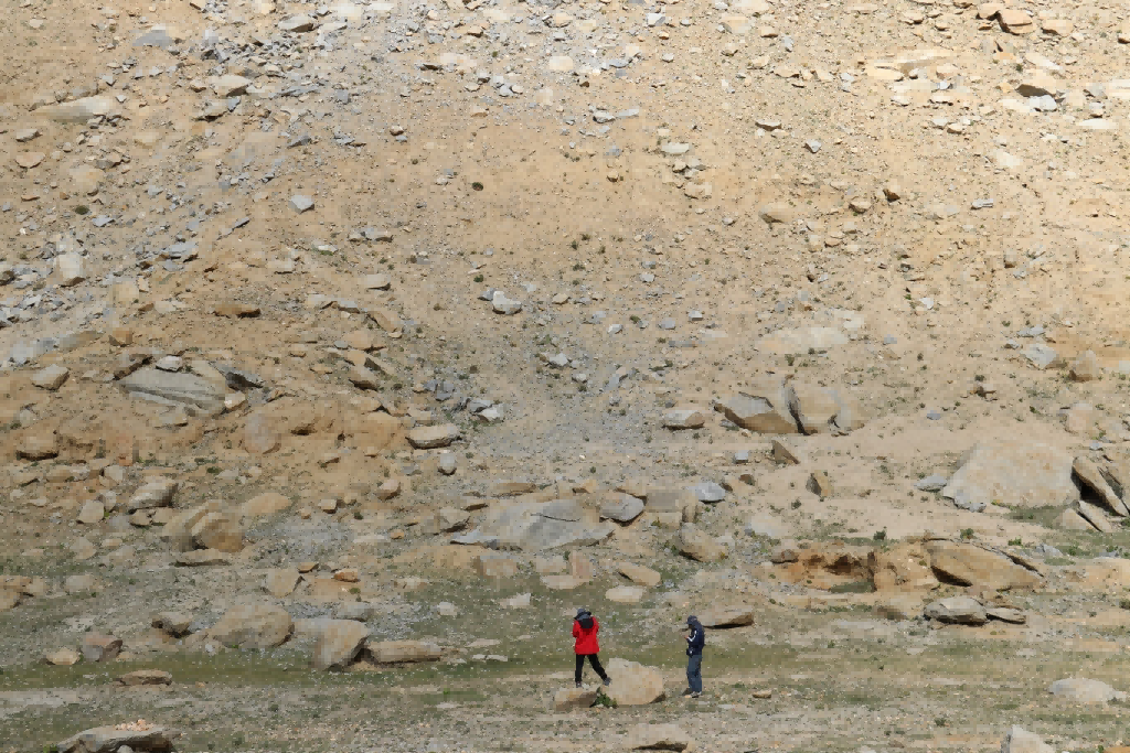 null 圖片 40(1).png