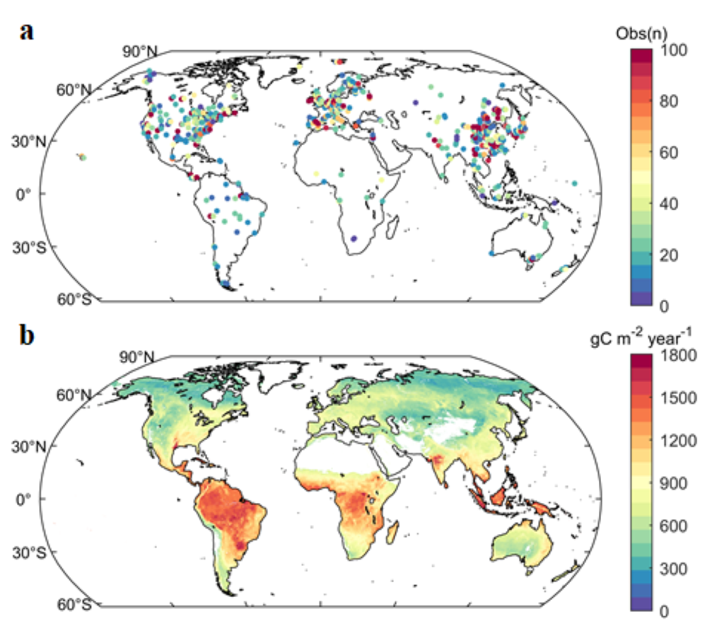 null image15.png.png