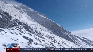 null 20220429121235146.gif