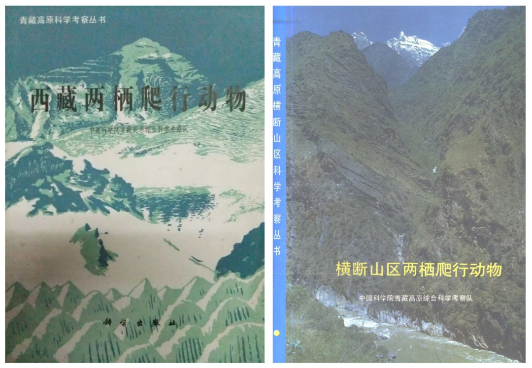 圖片3.png